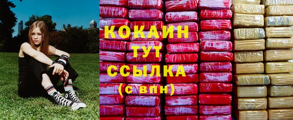 винт Нягань