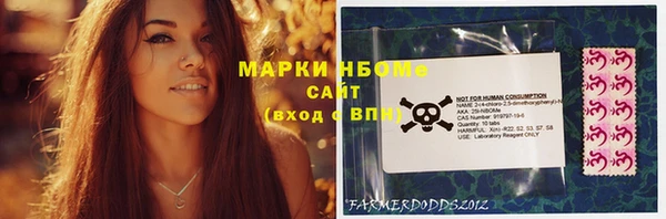 гидра Новодвинск