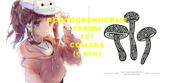 винт Нягань