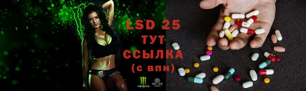 молекула духа Няндома