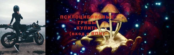 молекула духа Няндома