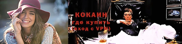 молекула духа Няндома