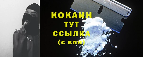молекула духа Няндома