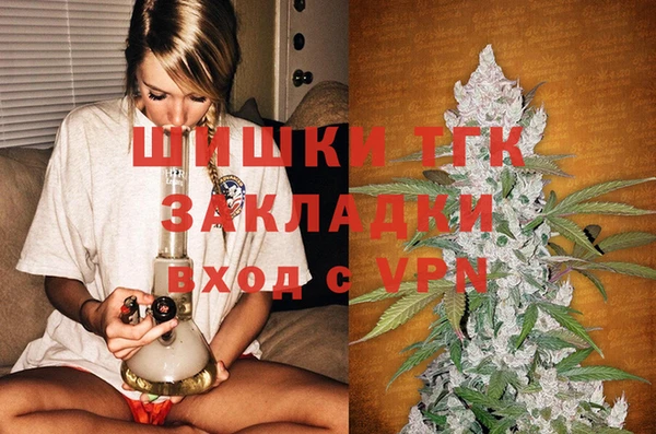 молекула духа Няндома