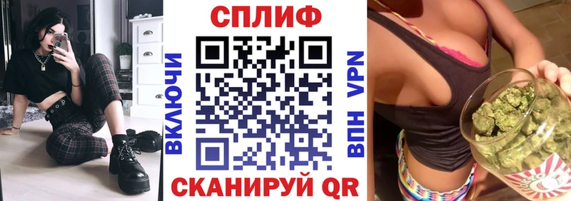 Бошки Шишки планчик  Игарка 